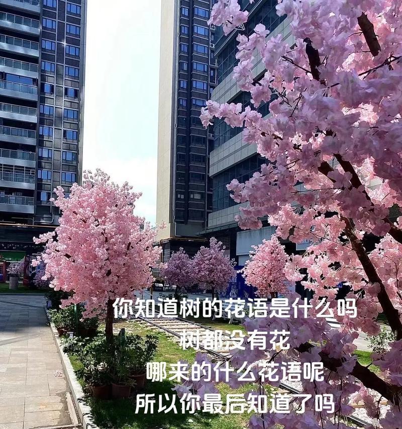 青春的花语是遗憾吗？这句话背后隐藏了什么含义？