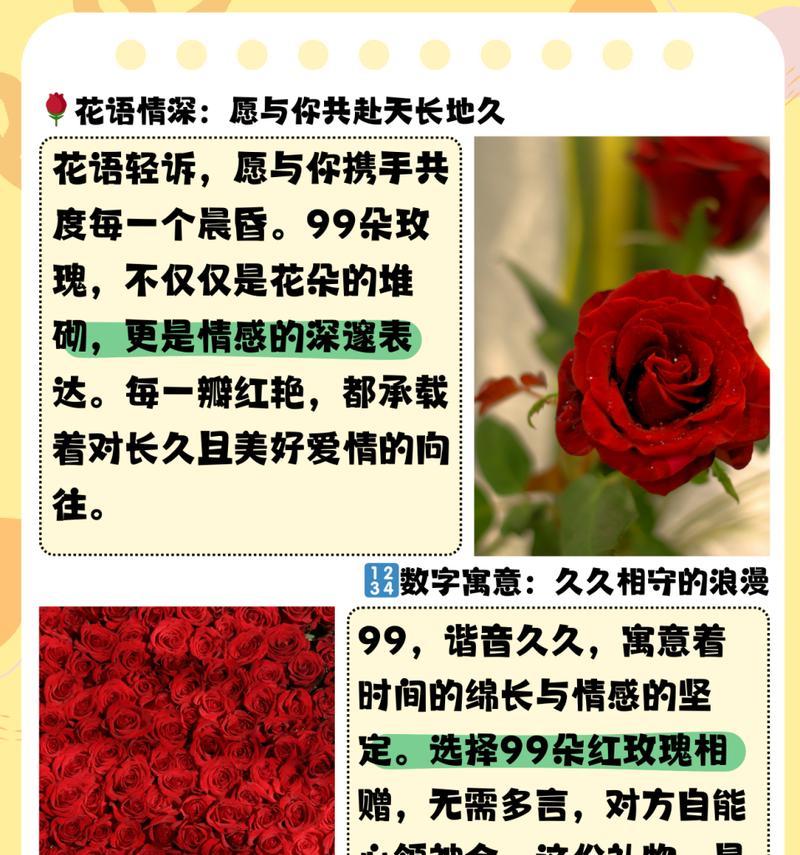 玫瑰花手串的花语是什么意思？玫瑰花手串代表了哪些寓意？