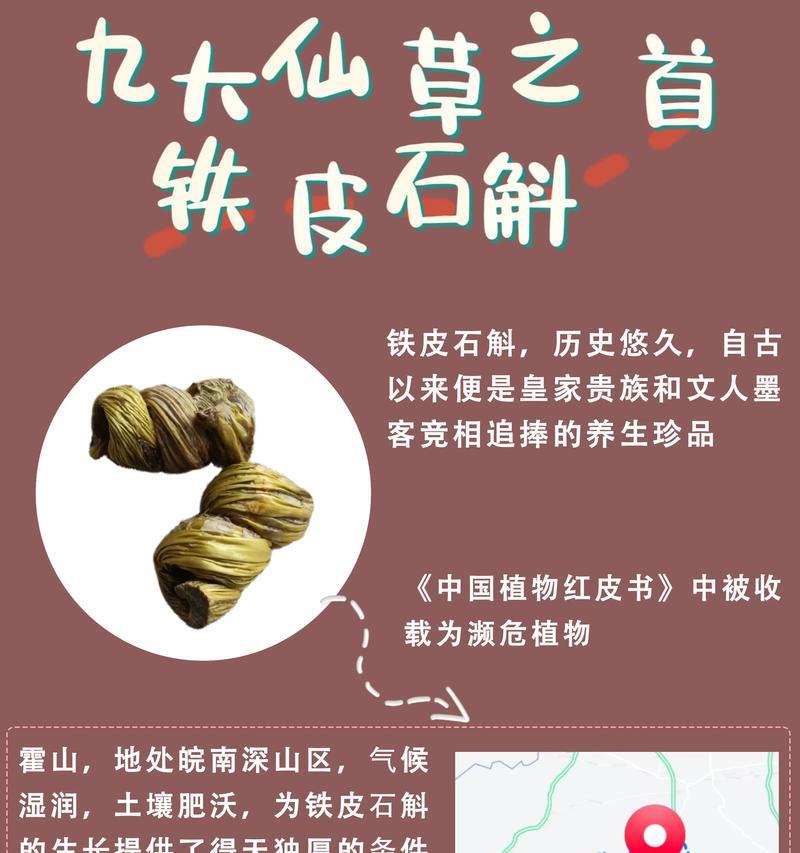 石斛的花语大全及寓意是什么？石斛花语有哪些？
