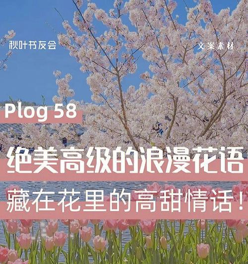 粉黛花的花语究竟表达了什么？