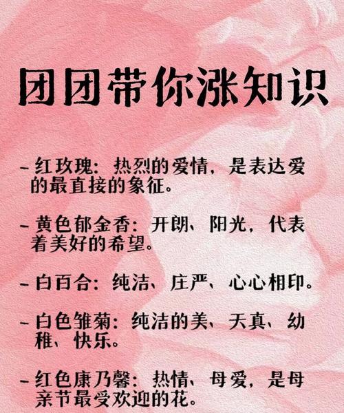 每个月的花语分别是什么？它们有何特别含义？