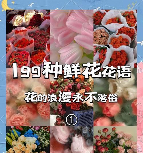 蝴蝶花束的花语有何含义？如何表达情感？