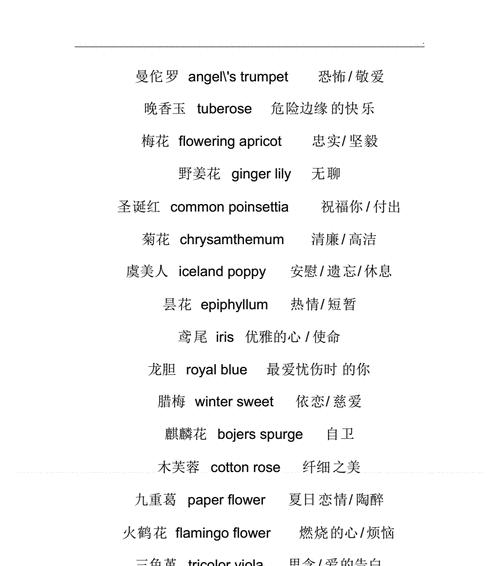 12朵花代表了什么意义？