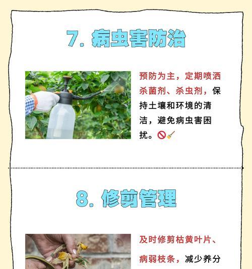 水仙花的花语有哪些含义？
