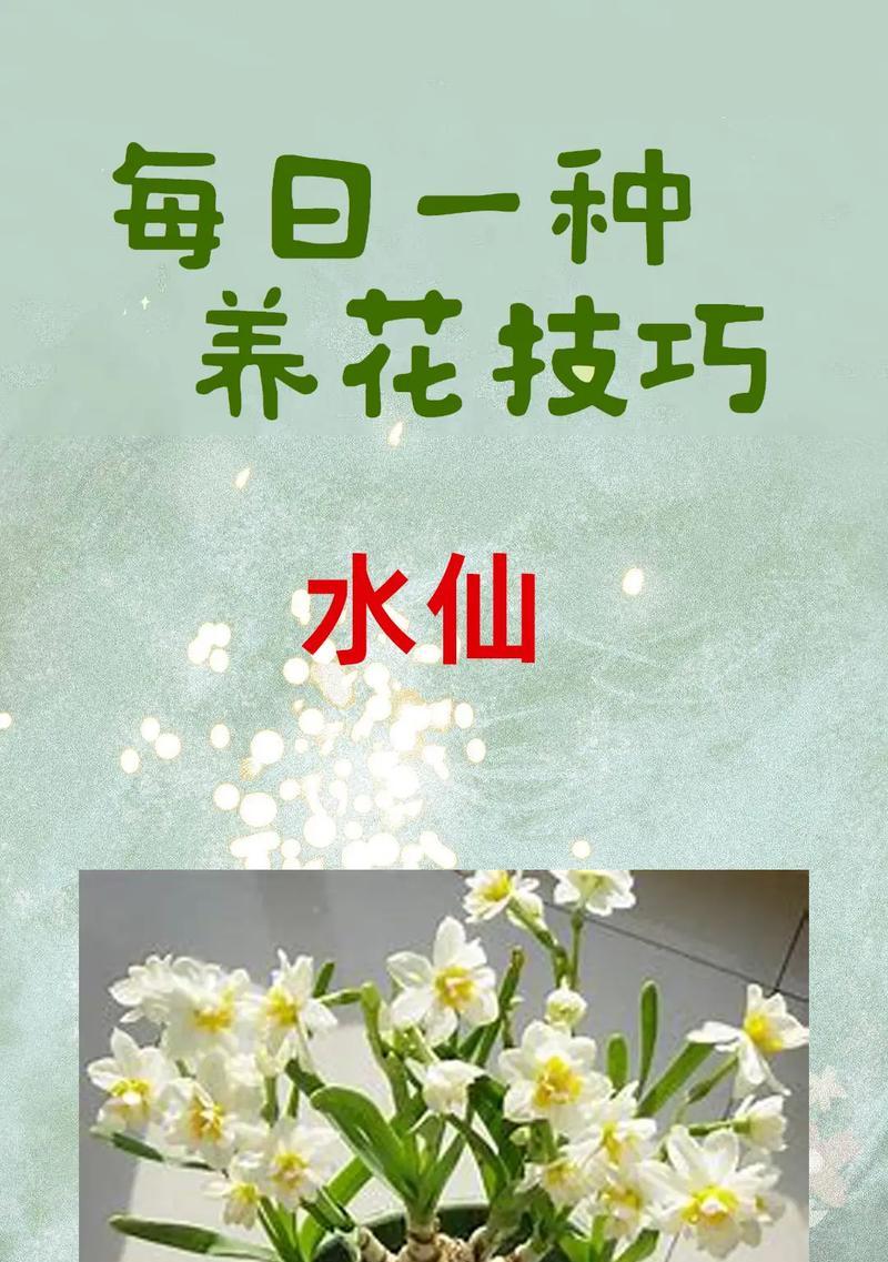 水仙花的花语有哪些含义？