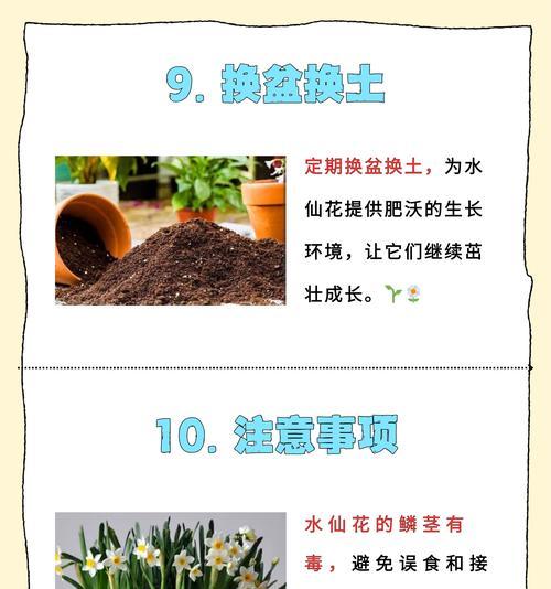 水仙花的花语有哪些含义？