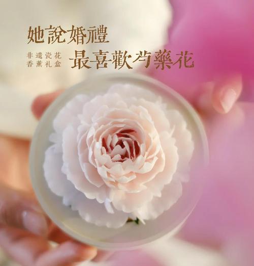 芍药花的花语有哪些含义？它代表了什么情感？