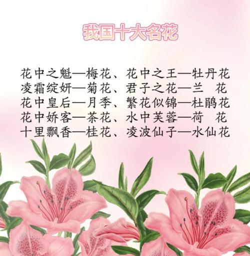 守在身边的爱花语代表什么？用什么花来表达？
