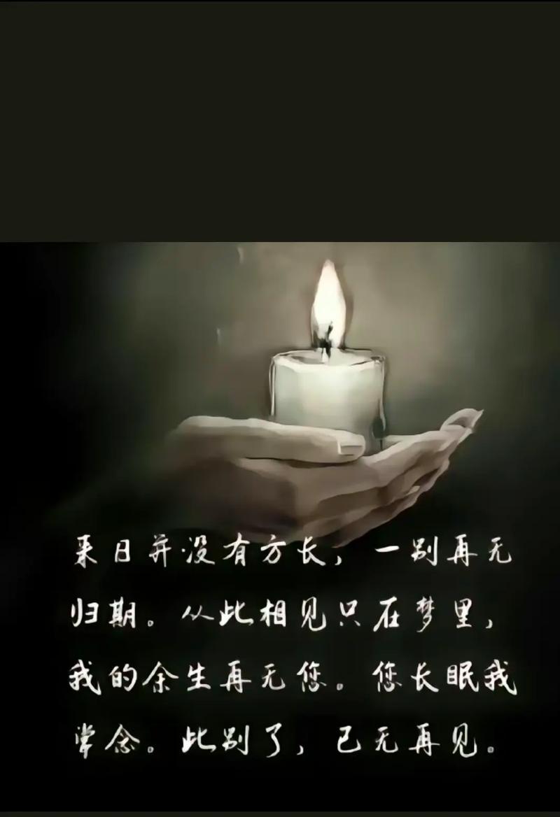 听别离开的花语含义？哪种花代表不离不弃？