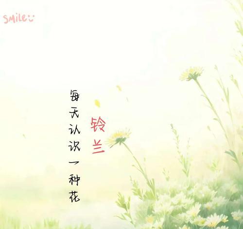 铃兰花节的铃兰花语代表什么？铃兰花语有哪些独特之处？