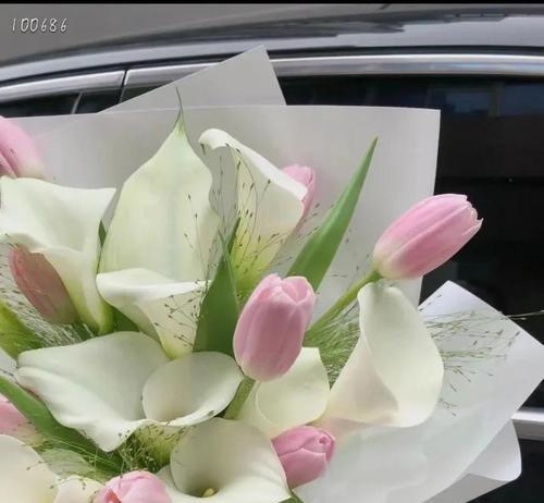花语719代表的含义是什么？