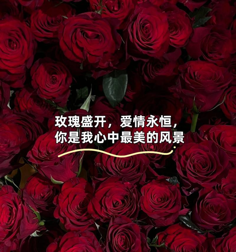 爱情到来时哪种花的花语最贴切？如何表达？