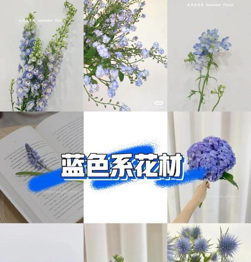 钟爱的花语代表了什么？哪种花代表钟爱？