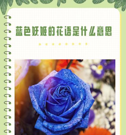 蓝玫瑰与茉莉花语有何不同？
