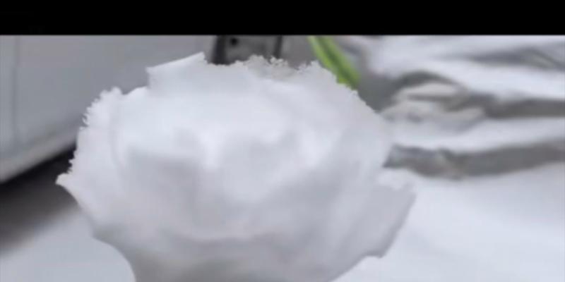 用雪做玫瑰花寓意什么？雪玫瑰的象征意义是什么？