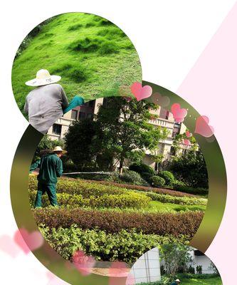 平邑花语馨小区物业的服务水平如何？
