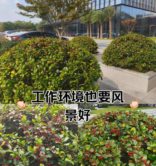 平邑花语馨小区物业的服务水平如何？