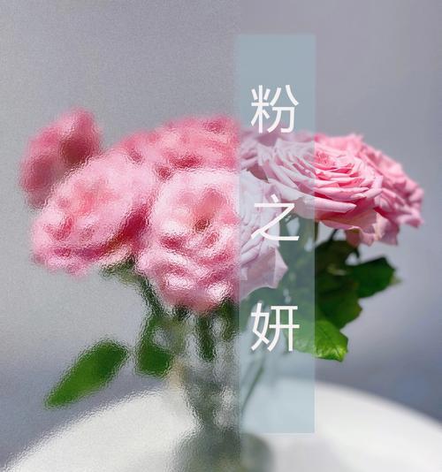 逸禾玫瑰20支装的花语是什么？