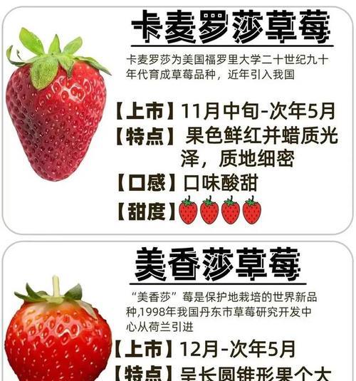 草莓花语有哪些寓意？草莓的花语代表什么情感？