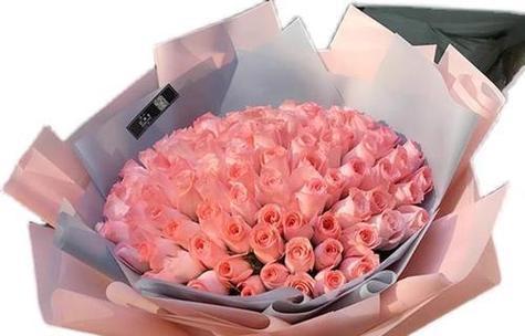 5月代表的花语有哪些？适合送什么花？