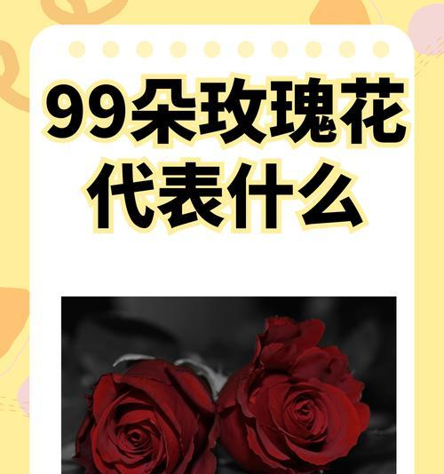 红玫瑰花语通常表达什么情感？