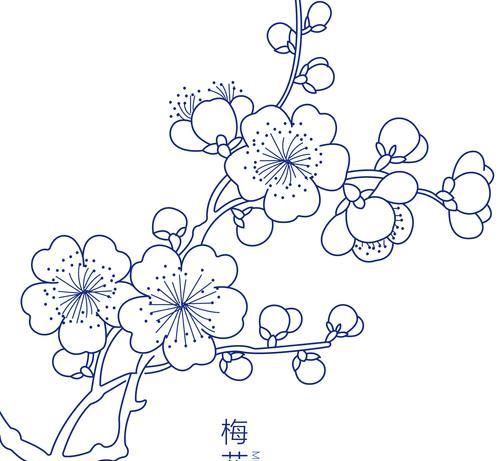 梅花的鲜花花语和寓意是什么？如何用梅花表达情感？