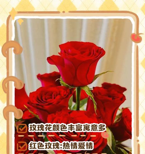 花泥包玫瑰花的寓意有哪些？