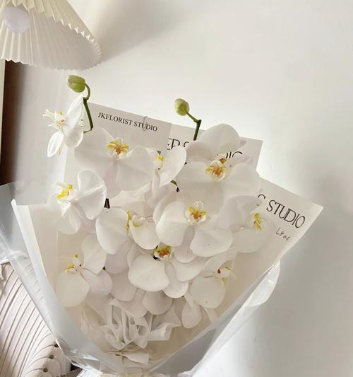 整束蝴蝶兰的花语代表了什么？