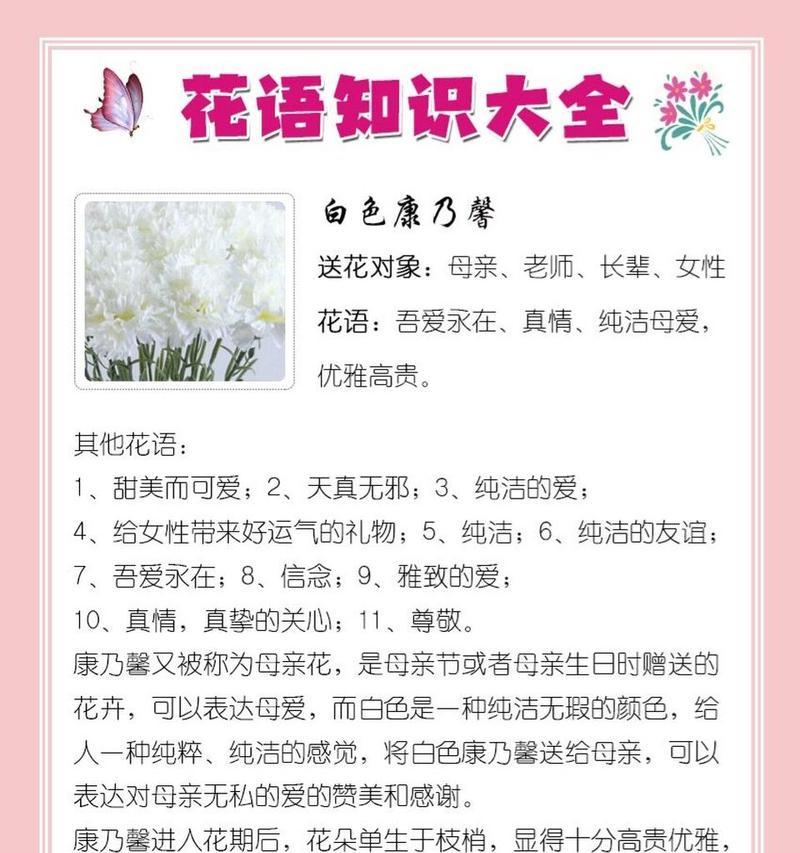 康乃馨不同颜色代表什么？花语有何不同？