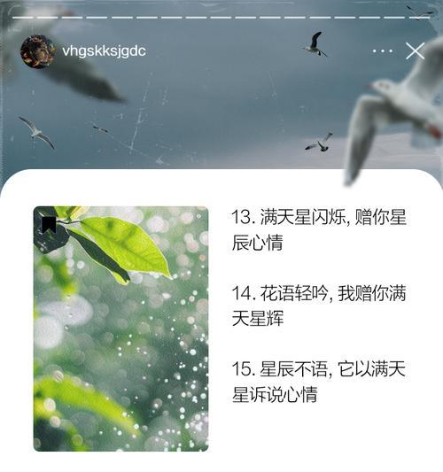 满天星的花语是什么？有哪些品种？