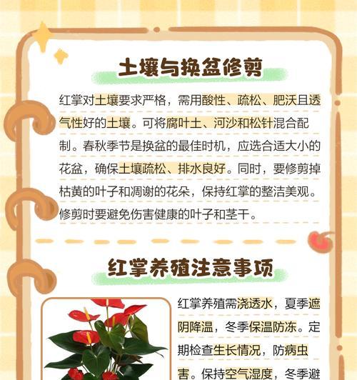红掌的种植与养护方法是什么？夏季有哪些注意事项？