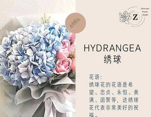 植物扦插成活的秘诀是什么？有哪些常见问题及解决方法？