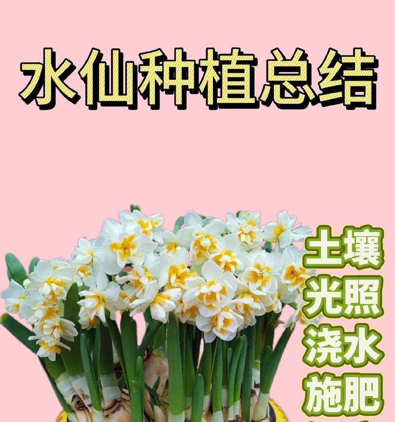 皇冠开花仙人球的浇水技巧是什么？