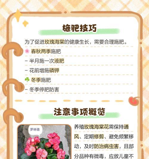玫瑰花的正确养护方法是什么？