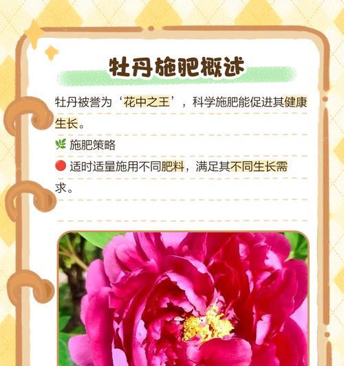 牡丹花喷施肥的正确使用方法是什么？