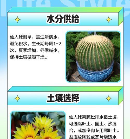 雪糕锦仙人球冬季养护技巧是什么？