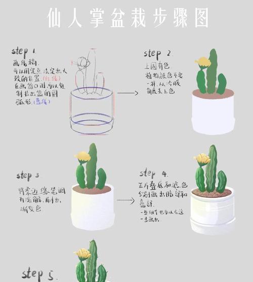 仙人掌室内种植方法是什么？