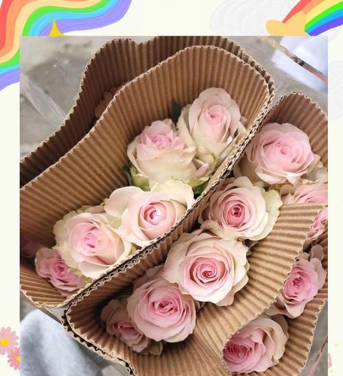 玫瑰花插放持久的秘诀是什么？
