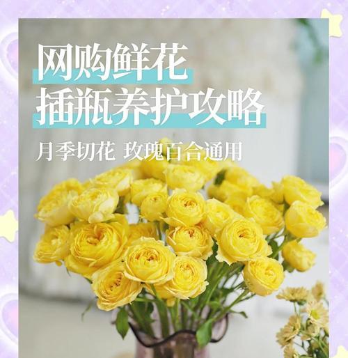 玫瑰花插放持久的秘诀是什么？