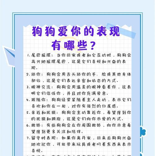 如何为狗狗准备浪漫的玫瑰花？