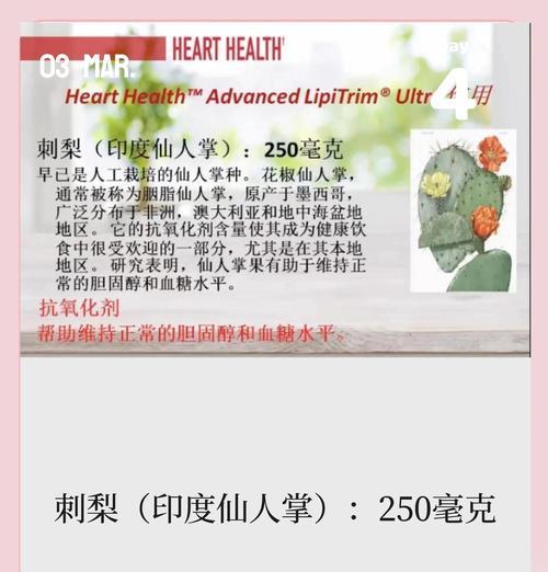 仙人掌打顶后如何护理？需要注意什么？