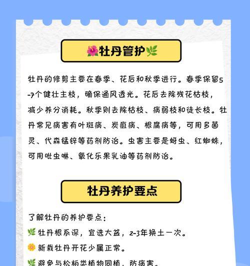 龙须牡丹花的种植步骤是什么？