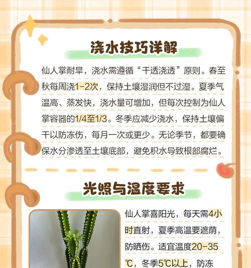 灵宠仙人掌的养殖方法是什么？
