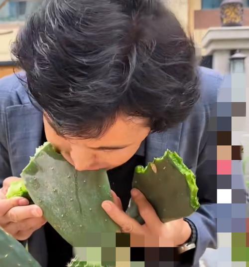 有刺仙人掌的种植步骤和技巧是什么？