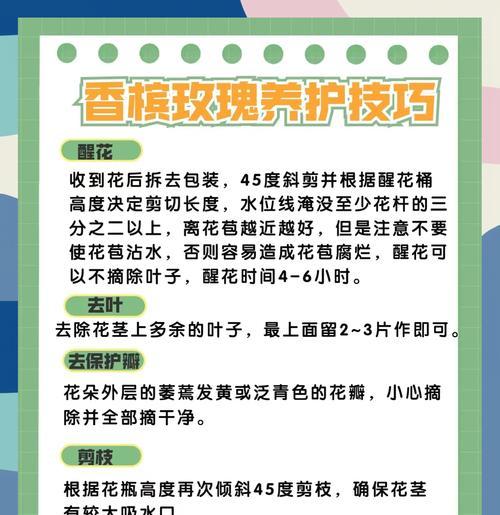 喷色玫瑰花的养护方法是什么？