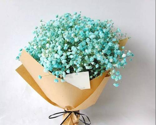 蓝粉混搭满天星的花语是什么？它们的组合有何特别含义？