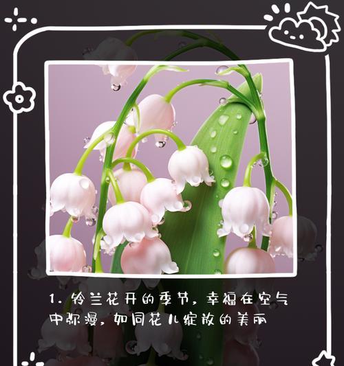 带“静静”字眼的花语是什么？有哪些花？