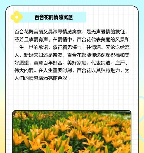 赞比西百合的花语介绍？它代表了什么？
