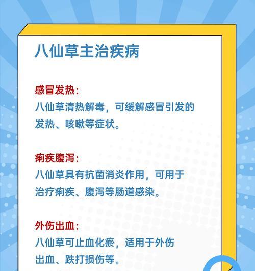 八仙花的花语是什么？它代表了什么？