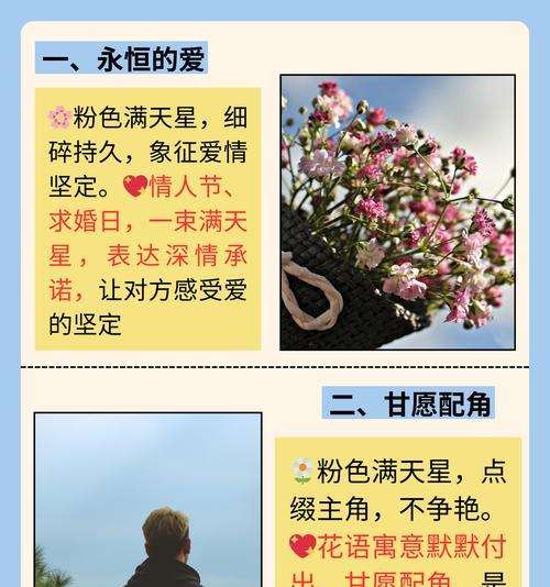 满天星粉和蓝的花语是什么？它们各自代表了什么？